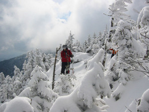 Get out and ski Vermont! Photo by DVS